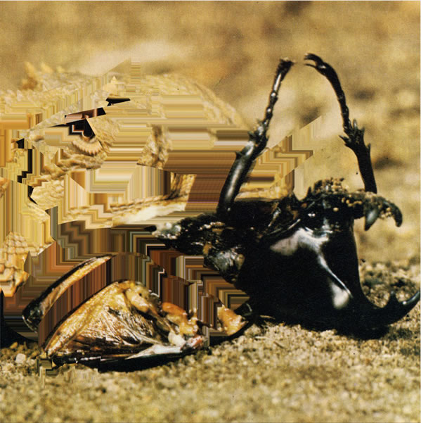 CF037 - Terrificolor - 3 EP